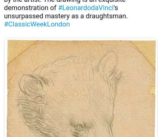Медведь Леонардо да Винчи